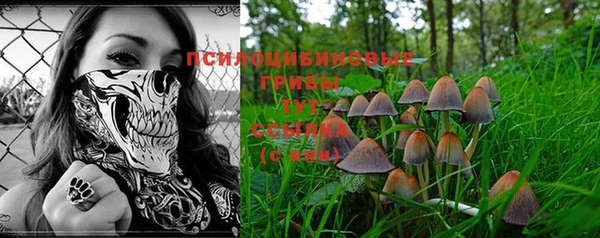 винт Россошь